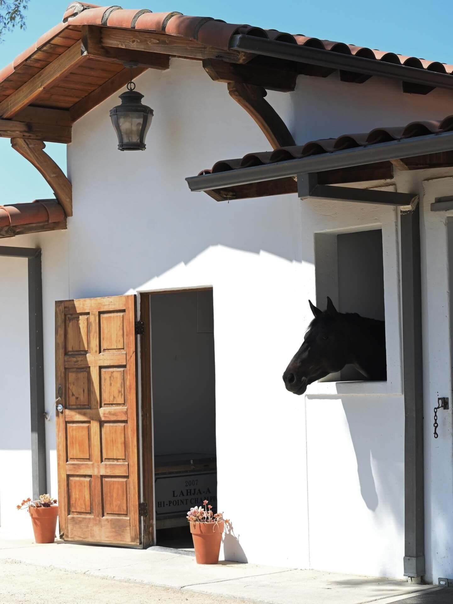 A horse looking out of a stall window at the Spanish-style barn