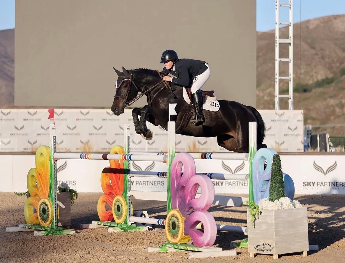 A jumper clearing a colorful oxer at golden hour