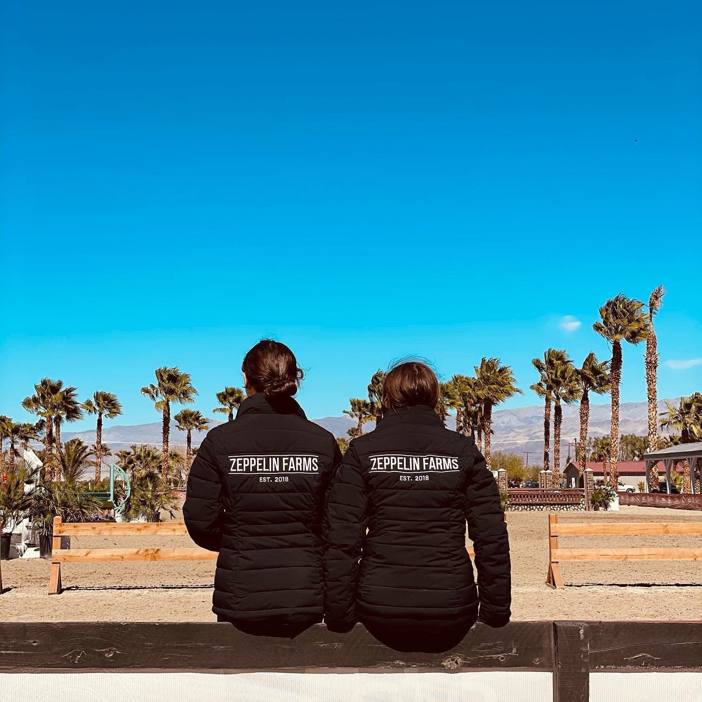Zeppelin Farms trainers at Desert International Horse Park